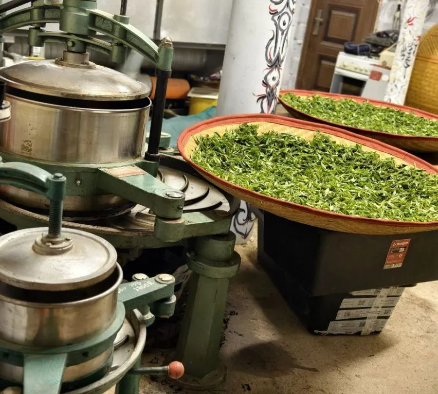 матчак4.jpg матчак4.jpg