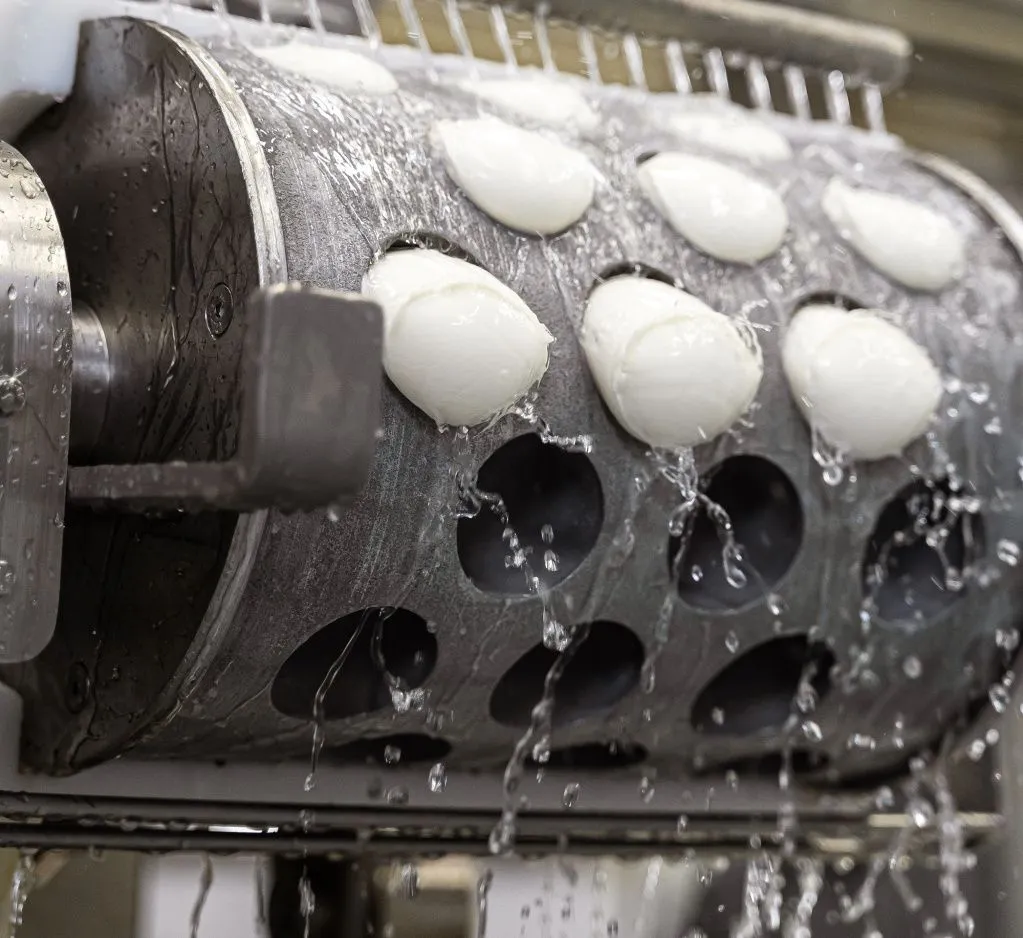 DSC02390.jpg DSC02390.jpg