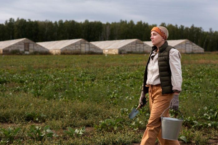 В Ростовской области хотят ввести кредитные каникулы для пострадавших от непогоды аграриев В Ростовской области хотят ввести кредитные каникулы для пострадавших от непогоды аграриев