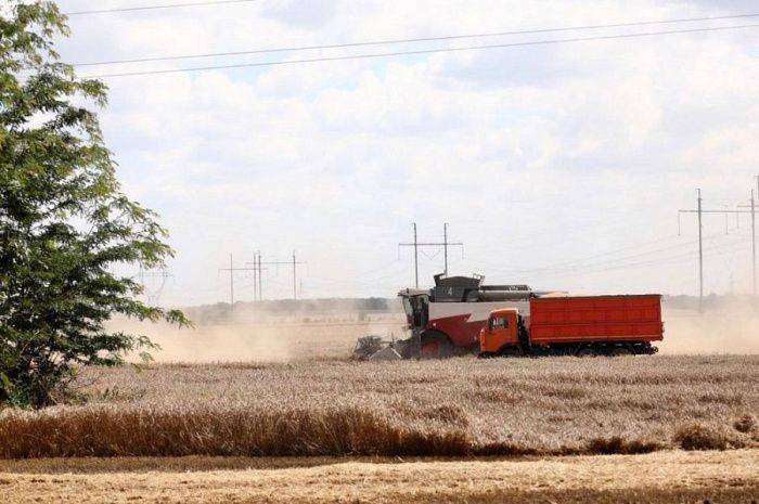 В Краснодарском крае собрали 11,3 миллионов тонн зерна