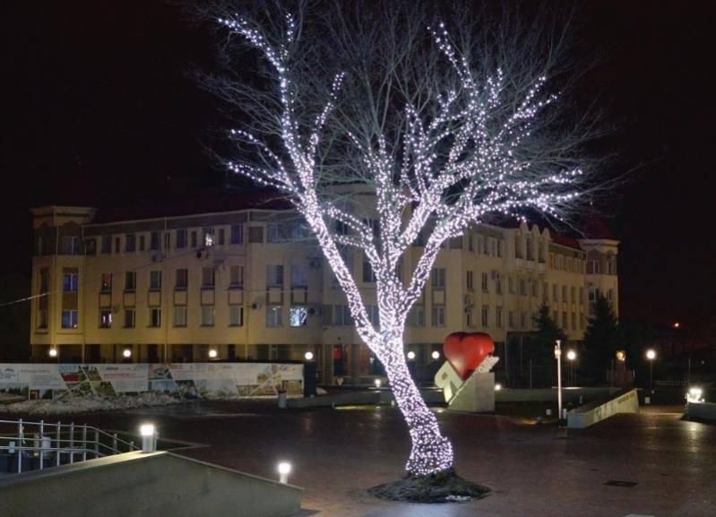 Закупки уличного новогоднего декора на Ставрополье сократили в 12 раз Закупки уличного новогоднего декора на Ставрополье сократили в 12 раз