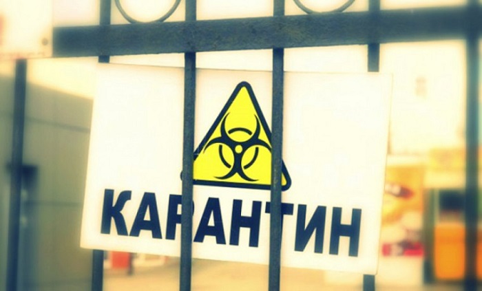 В одной из станиц Ставрополья ввели карантин из-за угрозы сибирской язвы
