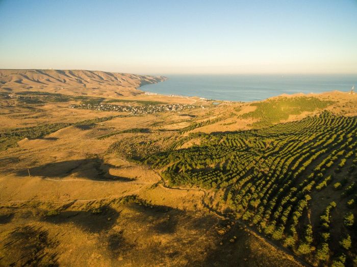 В Крыму объявили штормовое предупреждение из-за высокой пожароопасности В Крыму объявили штормовое предупреждение из-за высокой пожароопасности