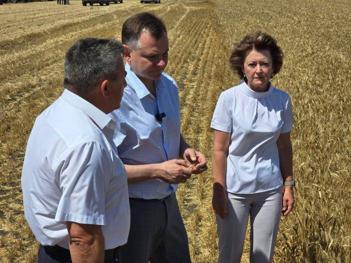 Замедленная пролонгация: почему в Ростовской области пока не заработала поддержка пострадавших от засухи аграриев