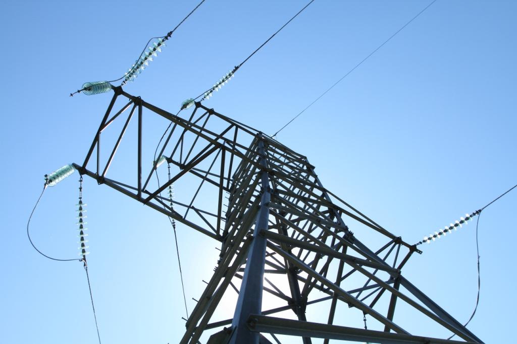 После установки «умного» счетчика в пригороде Таганрога потребление электроэнергии выросло в 10 раз