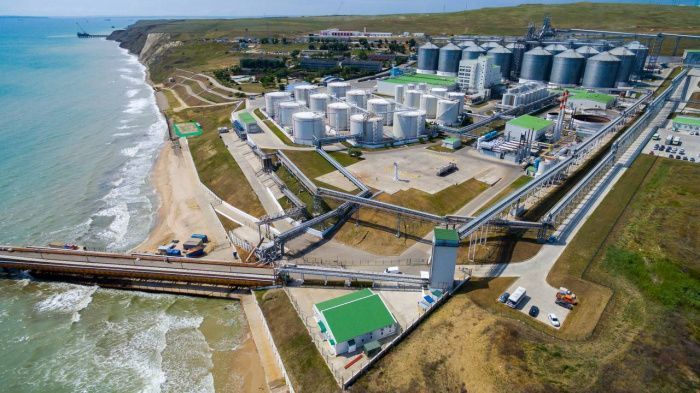 Портово-индустриальный парк «Тамани» нарастит мощность грузооборота до 100 млн тонн к 2028 году Портово-индустриальный парк «Тамани» нарастит мощность грузооборота до 100 млн тонн к 2028 году