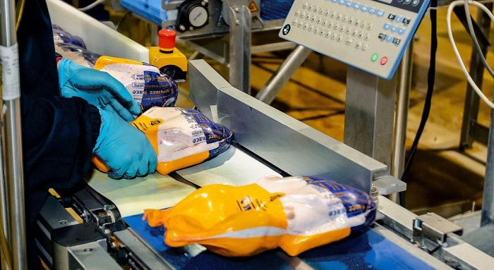 Ростовская ГК «Дамате» увеличила производство утки на 30% в 2024 году Ростовская ГК «Дамате» увеличила производство утки на 30% в 2024 году