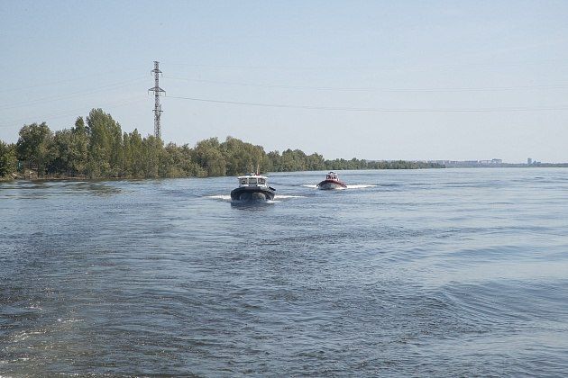 В Волгоградской области ФСБ пресекла крупный нелегальный канал поставки осетрины и черной икры В Волгоградской области ФСБ пресекла крупный нелегальный канал поставки осетрины и черной икры