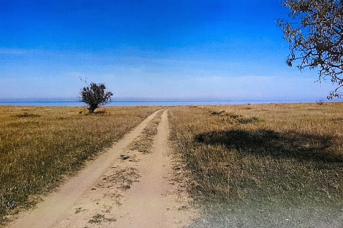 В Крыму начали формировать фонд земельных участков для участников СВО В Крыму начали формировать фонд земельных участков для участников СВО