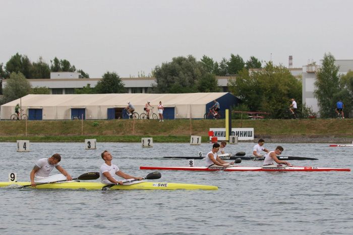 Ростовским спортсменам выплатят премии за победы на чемпионатах в 2023 году Ростовским спортсменам выплатят премии за победы на чемпионатах в 2023 году