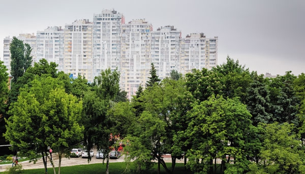 Краснодар станет садом Краснодар станет садом