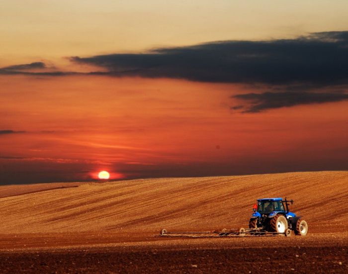 В Краснодарском крае стоимость дизеля для аграриев выросла на треть за 3 месяца 2024 года