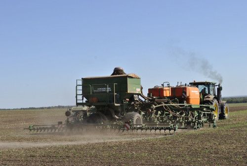 На Дону осенняя посевная перевалила за «экватор»