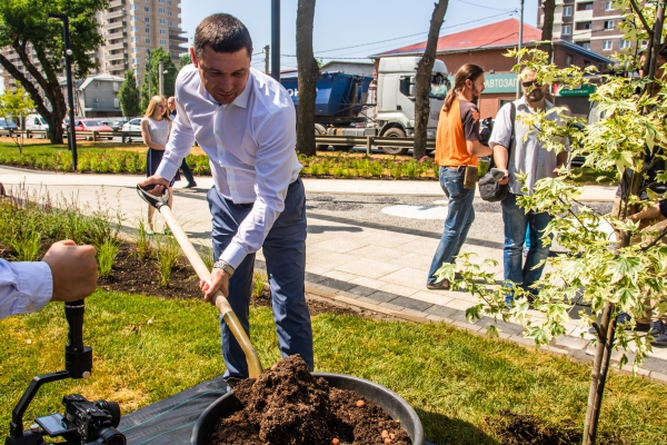 В Краснодаре открылся новый бульвар «Бородинский» В Краснодаре открылся новый бульвар «Бородинский»