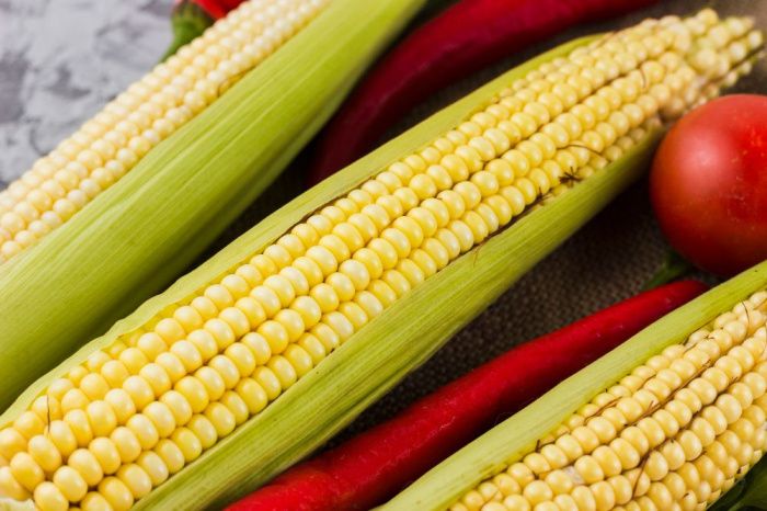 Экспорт кубанской кукурузы для попкорна и хлопьев в первом квартале вырос на 48%