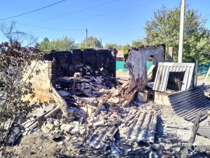 На Дону мужчина сжег 3 дома и 14 хозпостроек в попытке уничтожить осиное гнездо На Дону мужчина сжег 3 дома и 14 хозпостроек в попытке уничтожить осиное гнездо