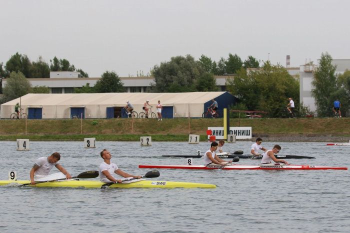 Ростовским спортсменам выплатят премии за победы на чемпионатах в 2023 году