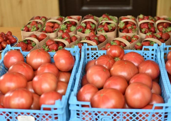 Кубанские фермеры в 2021 году получат еще 600 торговых мест для сбыта продукции Кубанские фермеры в 2021 году получат еще 600 торговых мест для сбыта продукции