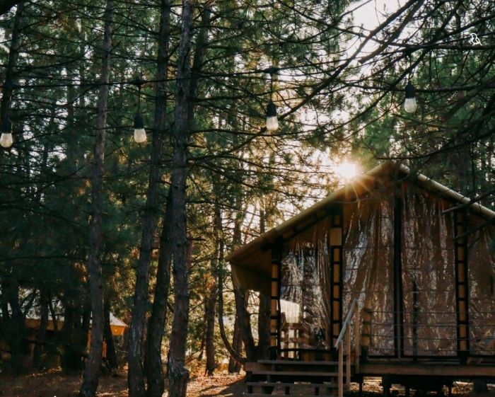 Три палатки — ещё не глэмпинг: что предлагает новый ГОСТ для глэмпингов и возможно ли приблизиться к его требованиям  Три палатки — ещё не глэмпинг: что предлагает новый ГОСТ для глэмпингов и возможно ли приблизиться к его требованиям