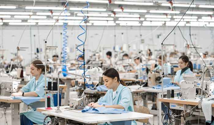 Владелец ростовской компании Elis Fashion получил патент на бренд «1 линия»
