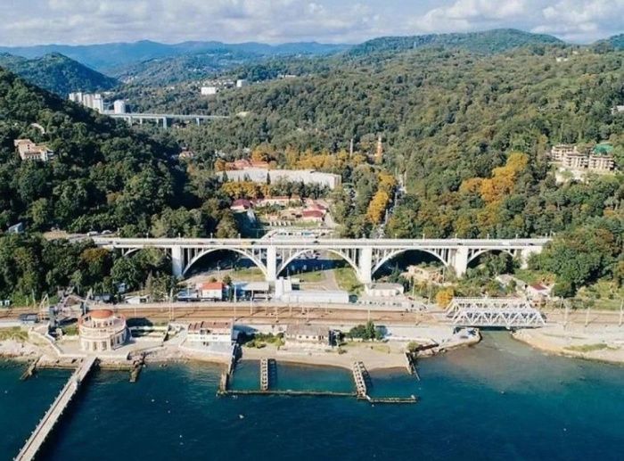 Более 115 млн рублей направили на озеленение Сочи в 2022 году Более 115 млн рублей направили на озеленение Сочи в 2022 году