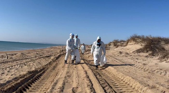 На трех участках в Анапе обнаружили новые выбросы мазута На трех участках в Анапе обнаружили новые выбросы мазута