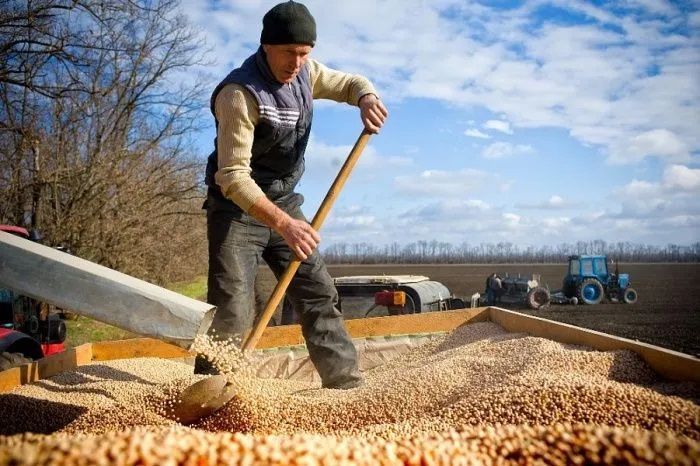 В 2022 году в Краснодарском крае произвели сельхозпродукции на 660 млрд рублей В 2022 году в Краснодарском крае произвели сельхозпродукции на 660 млрд рублей