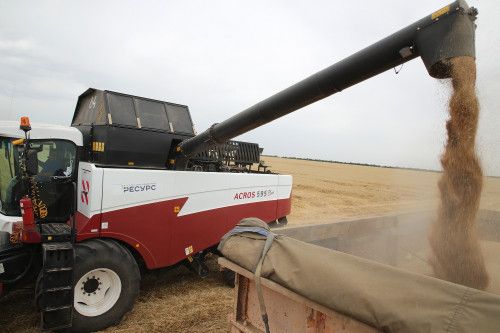 Донские аграрии собрали с начала уборочной кампании 10 млн тонн зерновых