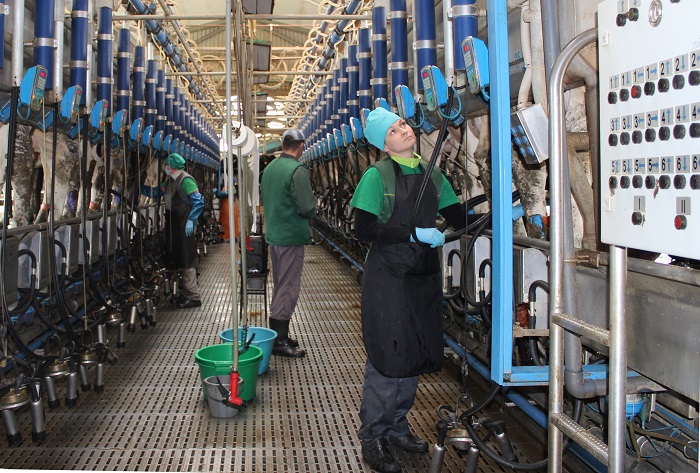 В «Прогресс Агро» заработал аналитический центр по молочному животноводству