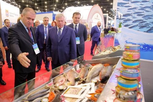 В Ростовской области создадут комплекс аквакультурных производств   