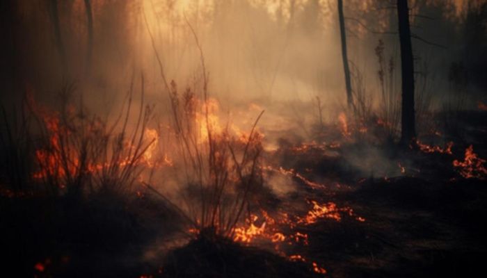 Под Алуштой в Крыму тушат пожар на площади более 4 100 кв. метров Под Алуштой в Крыму тушат пожар на площади более 4 100 кв. метров