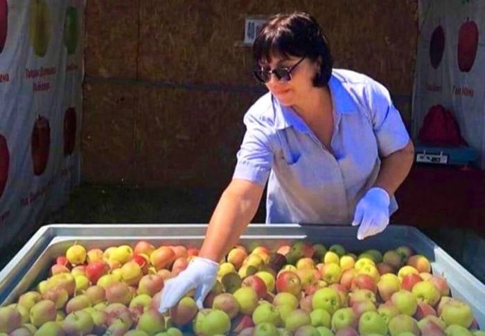 Около 540 фермеров в Карачаево-Черкессии за шесть лет получили гранты агростартапов