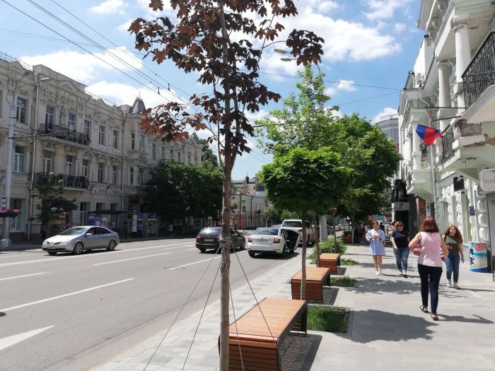 Большая Садовая в Ростове-на-Дону вновь вошла в топ самых дорогих улиц России