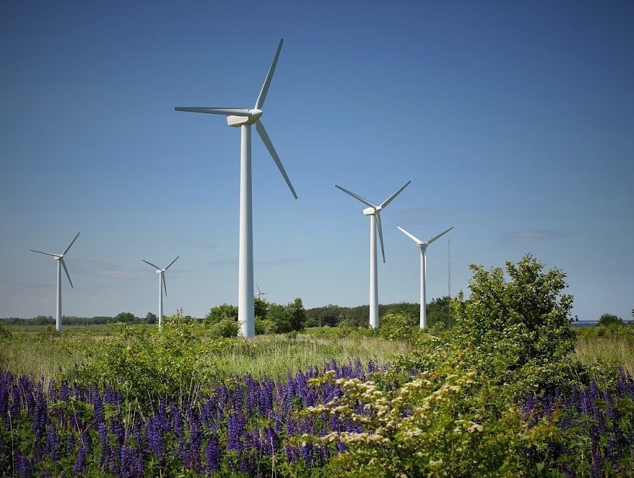 Инвестиции на ветер: 5 главных событий на Юге России в сфере альтернативной энергетики
