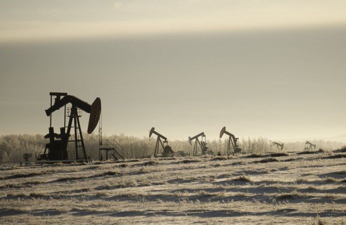 В Астраханской области ожидают рост инвестиций в нефтегазовый сектор на 10% в 2024 году В Астраханской области ожидают рост инвестиций в нефтегазовый сектор на 10% в 2024 году