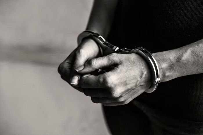 В Ростове-на-Дону возбудили уголовное дело против подозреваемой в поджогах трех торговых центров В Ростове-на-Дону возбудили уголовное дело против подозреваемой в поджогах трех торговых центров