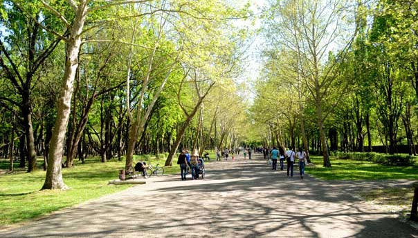 Краснодарский край создаст особо охраняемые зеленые зоны