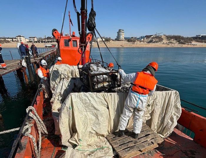 Морспасслужба внедрила новый механизированный метод сбора мазута со дна Черного моря Морспасслужба внедрила новый механизированный метод сбора мазута со дна Черного моря