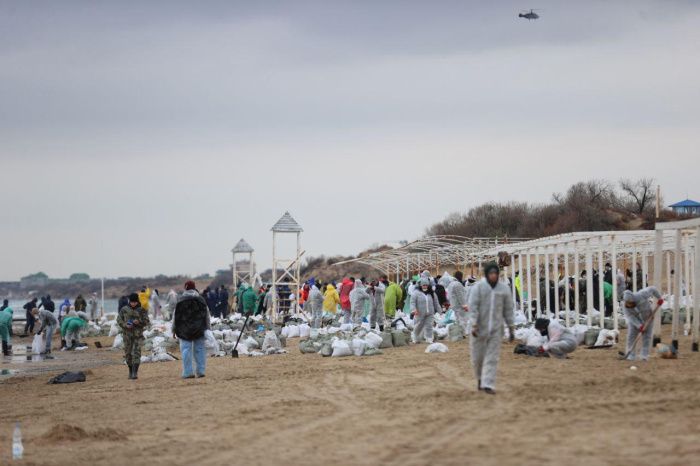 В Краснодарском крае после разлива мазута нашли 10 погибших дельфинов В Краснодарском крае после разлива мазута нашли 10 погибших дельфинов