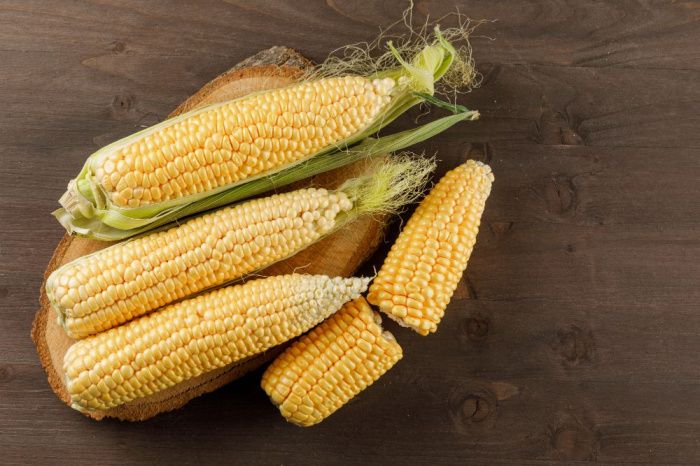 Экспорт кукурузы из Краснодарского края вырос в два раза по итогам 2023 года
