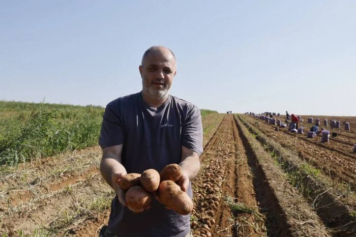 Астраханский фермер с помощью господдержки построит два овощехранилища