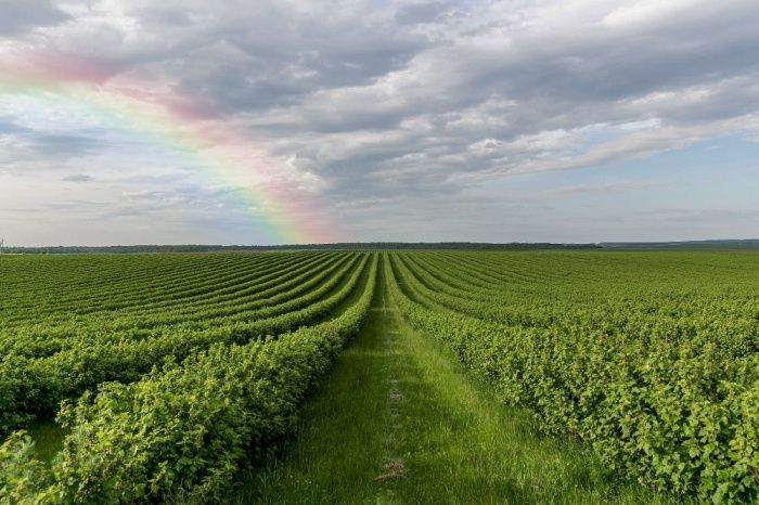 В Краснодарском крае планируют искусственно вызывать осадки над засушливыми территориями
