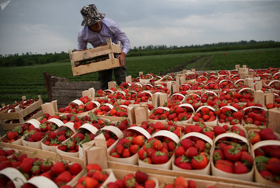 Юг будет продвигать уникальную продукцию под региональными брендами Юг будет продвигать уникальную продукцию под региональными брендами