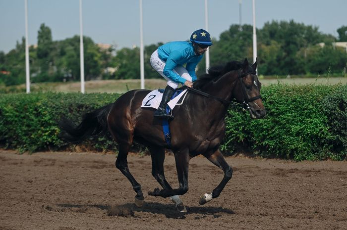 Прокуратура нашла нарушения в отказе признать ростовский ипподром ОКН