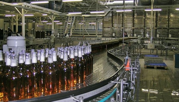 Ростовские пивовары просят отложить ввод ЕГАИС