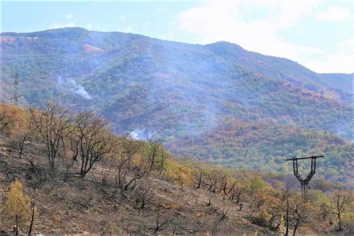 В Краснодарском крае запретили въезжать в леса из-за пожаров