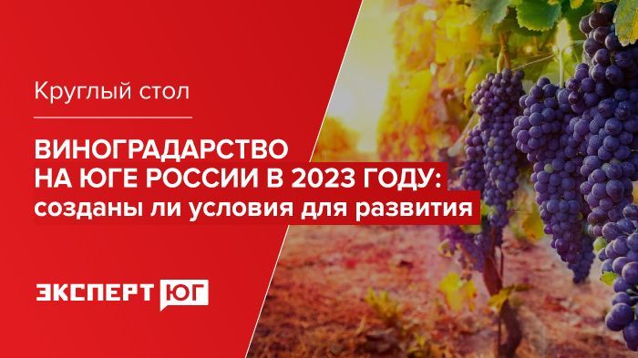 Круглый стол «Виноградарство на Юге России в 2023 году: созданы ли условия для развития»