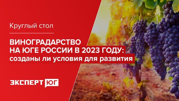 Круглый стол «Виноградарство на Юге России в 2023 году: созданы ли условия для развития» Круглый стол «Виноградарство на Юге России в 2023 году: созданы ли условия для развития»
