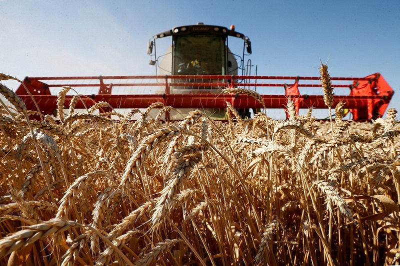 В Краснодарском крае аграрии собрали первые 1,5 миллиона тонн зерна