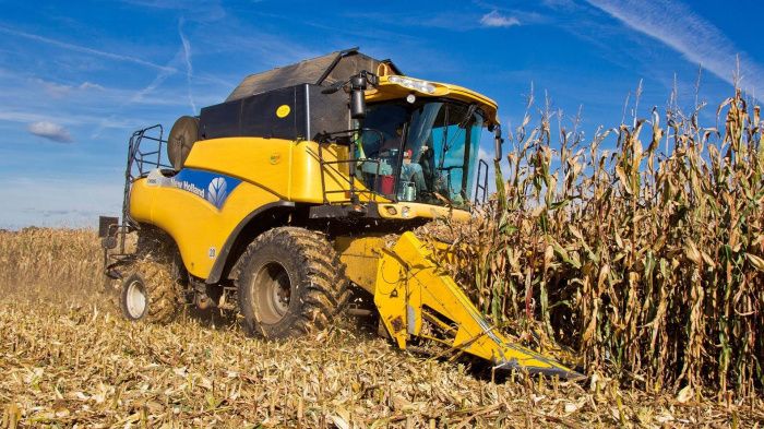 В Кабардино-Балкарии собрали первые 40 тысяч тонн зерна кукурузы